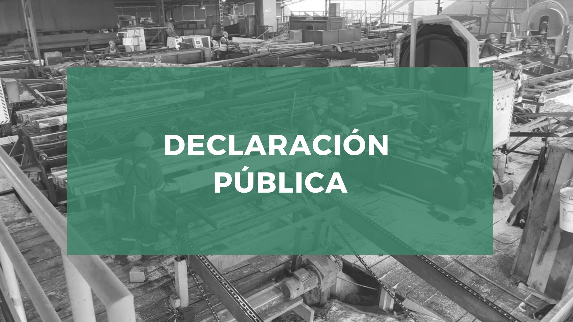Declaración Pública: Ante la Catástrofe por Incendios Forestales en las  Regiones de Biobío y Ñuble
