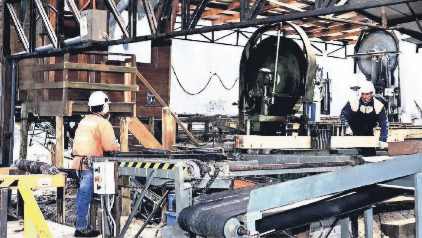 Pymes forestales dicen ser las más afectadas con la baja en exportaciones