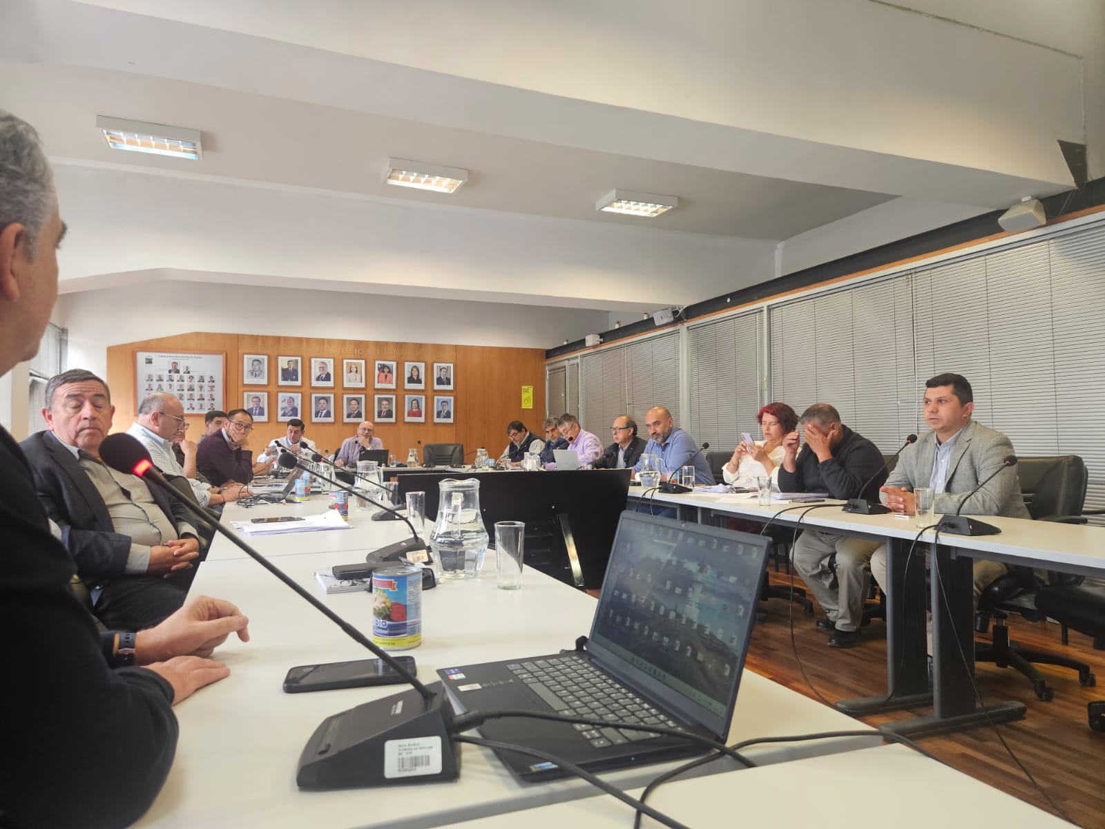 Presidente de PymeMad expone ante Consejo Regional del Biobío sobre situación de las Pymes Madereras