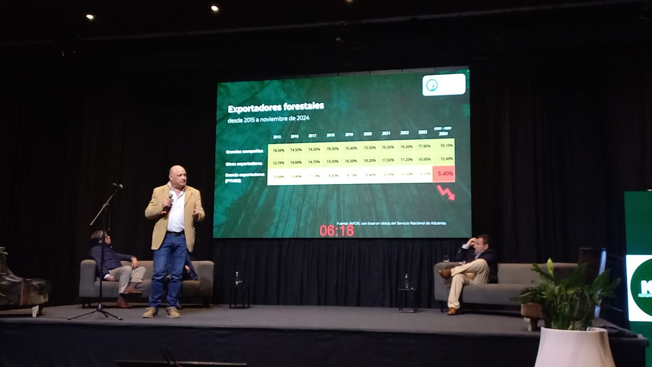 PymeMad Nacional participa en conversatorio sobre el futuro forestal de Chile