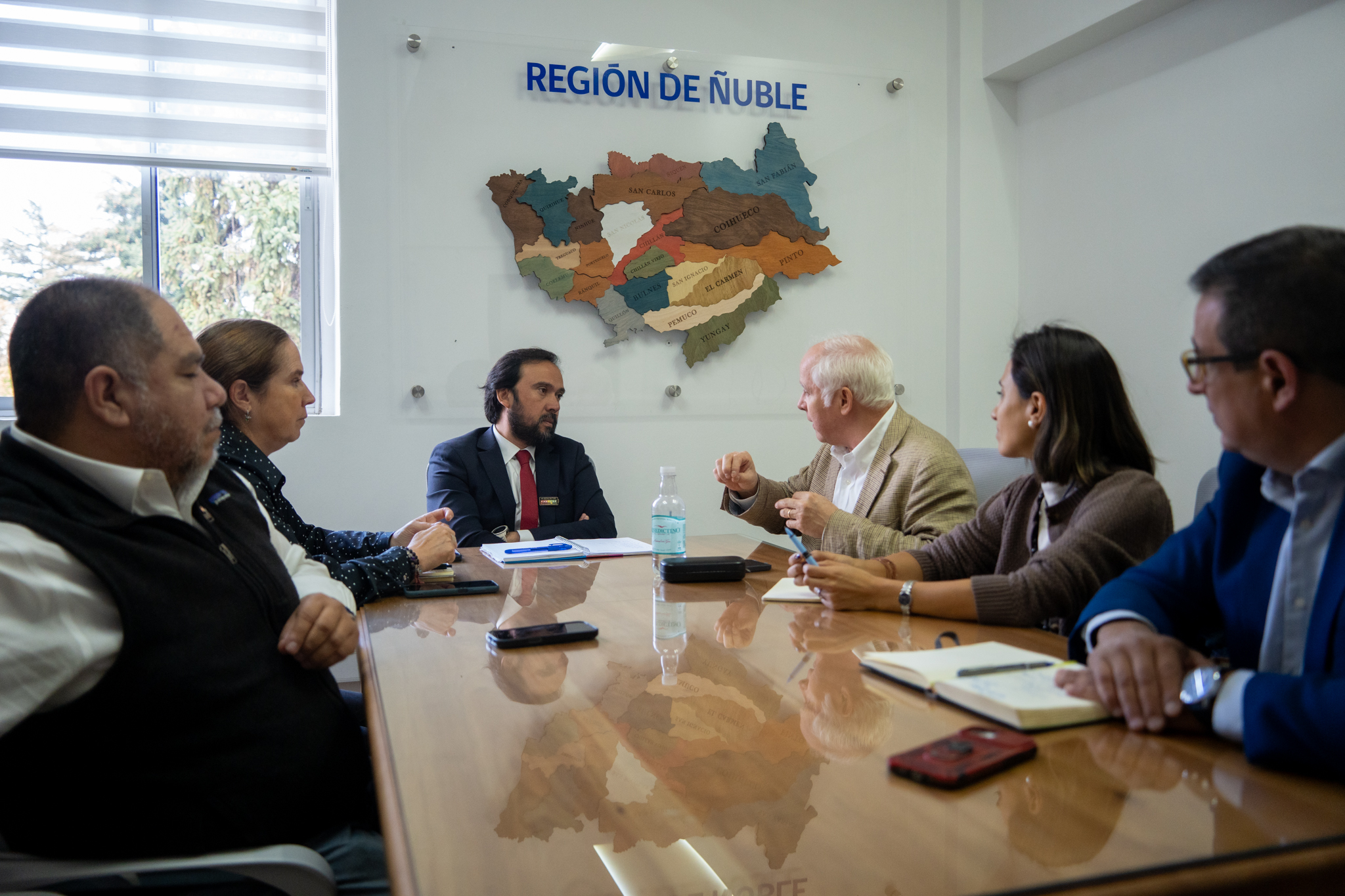 Pymemad se reúne con Gobernador de Ñuble para impulsar Desarrollo Forestal Sostenible