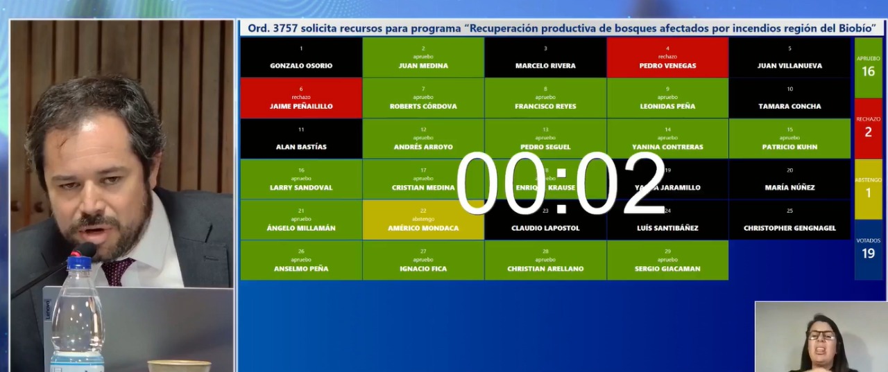 Core Biobío Approves Approximately $14 Billion for Forest Recovery and Wildfire Prevention